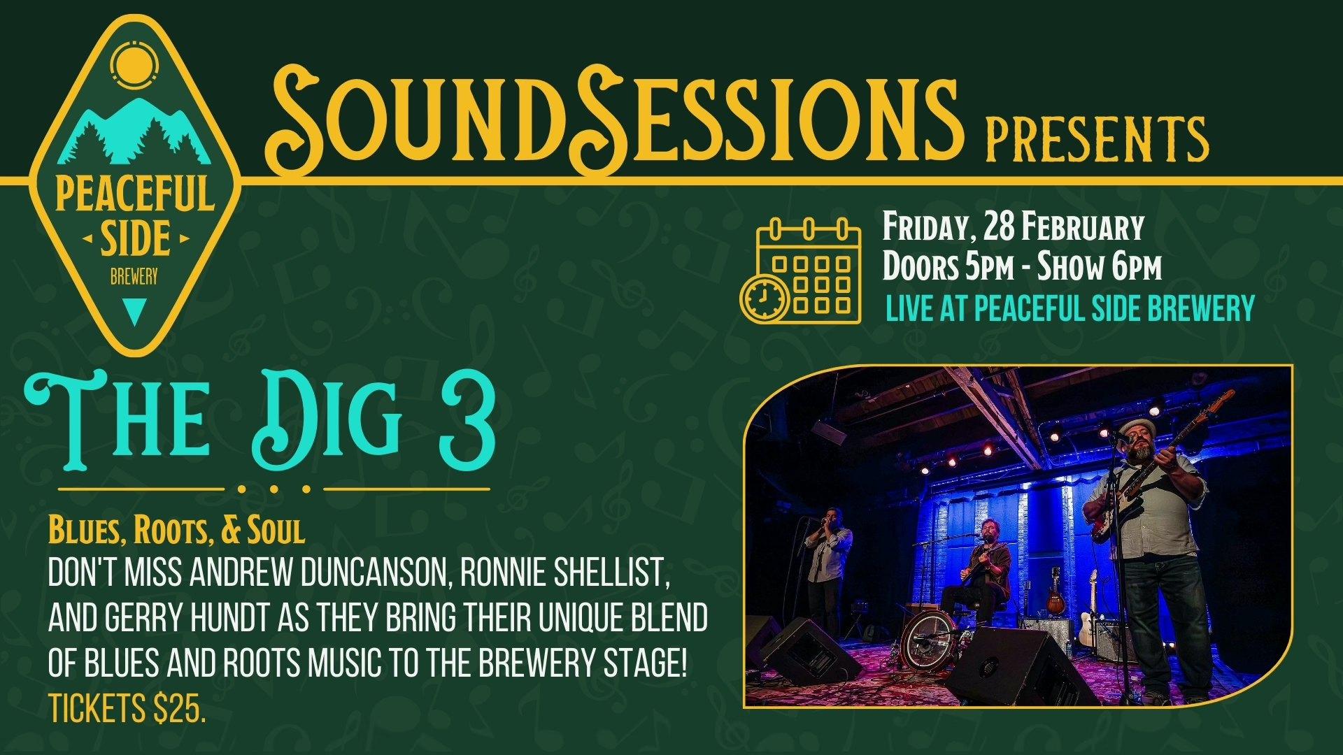 Sound Sessions featuring The Dig 3