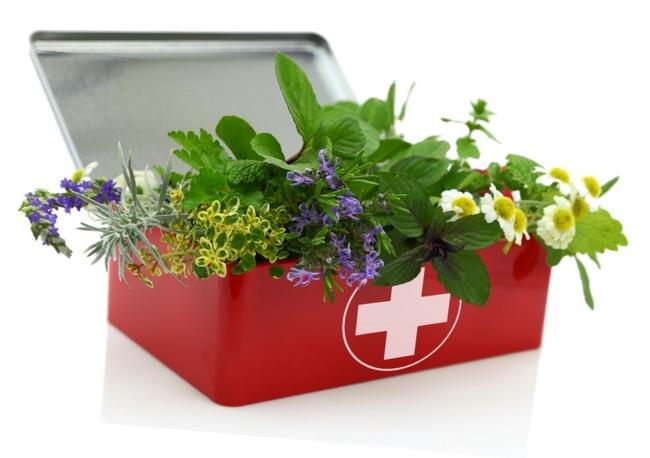 Folk Medicine: Herbal First Aid Class!