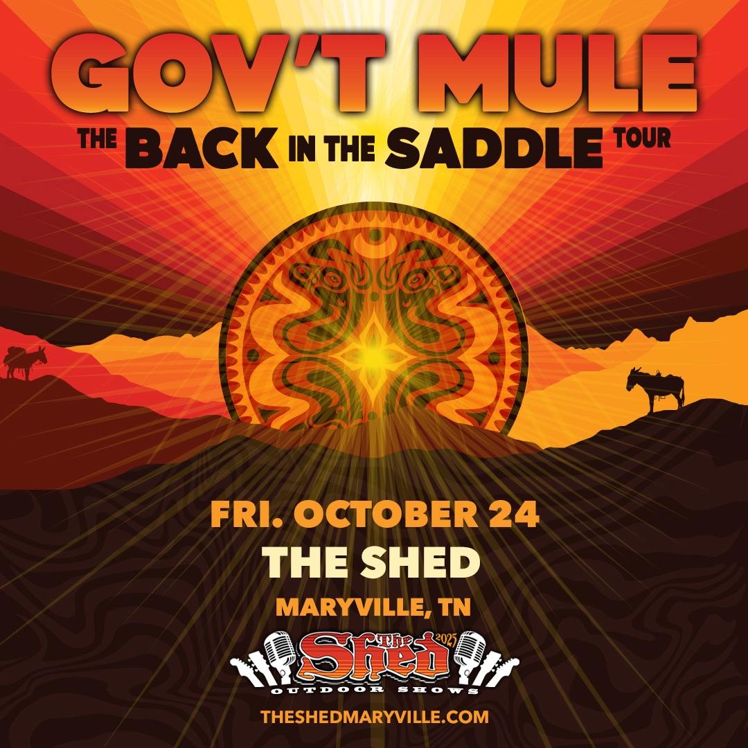 Gov't Mule - Back In The Saddle