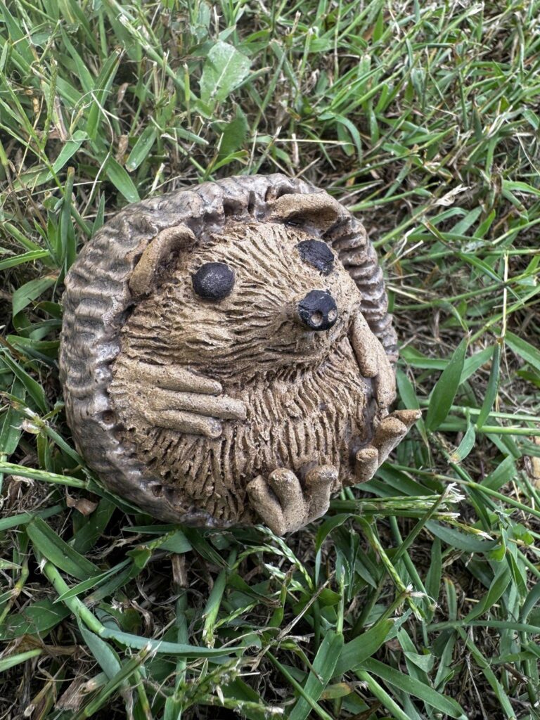 Hedgehog