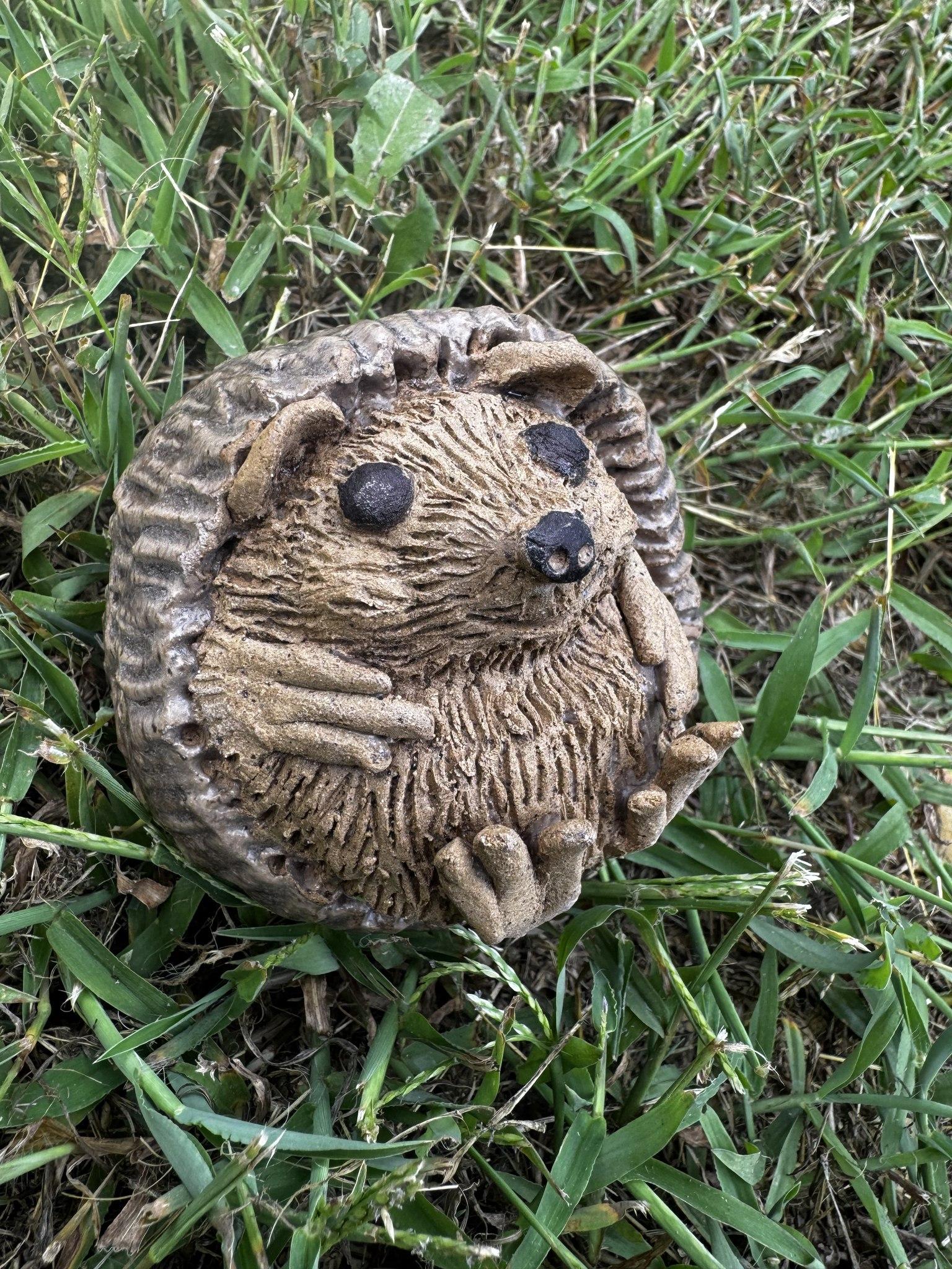 Hedgehog
