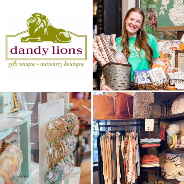 Dandy Lions shop featuring jewelry, stationery, scented candles, and curated gift items inside the store