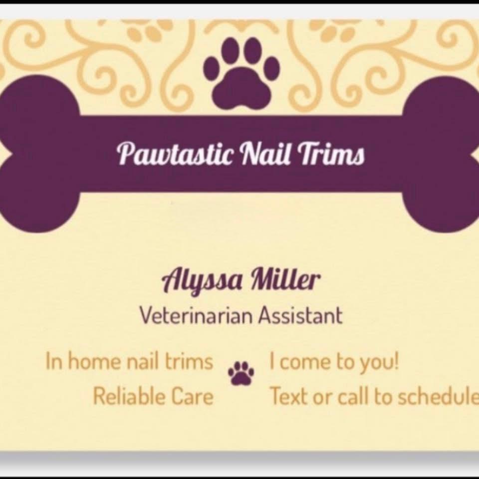 Pet Pampering at Daisy's
