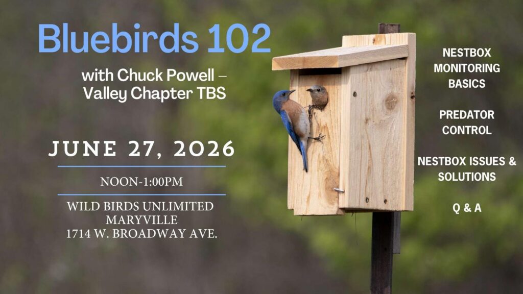 (1) Bluebirds 102