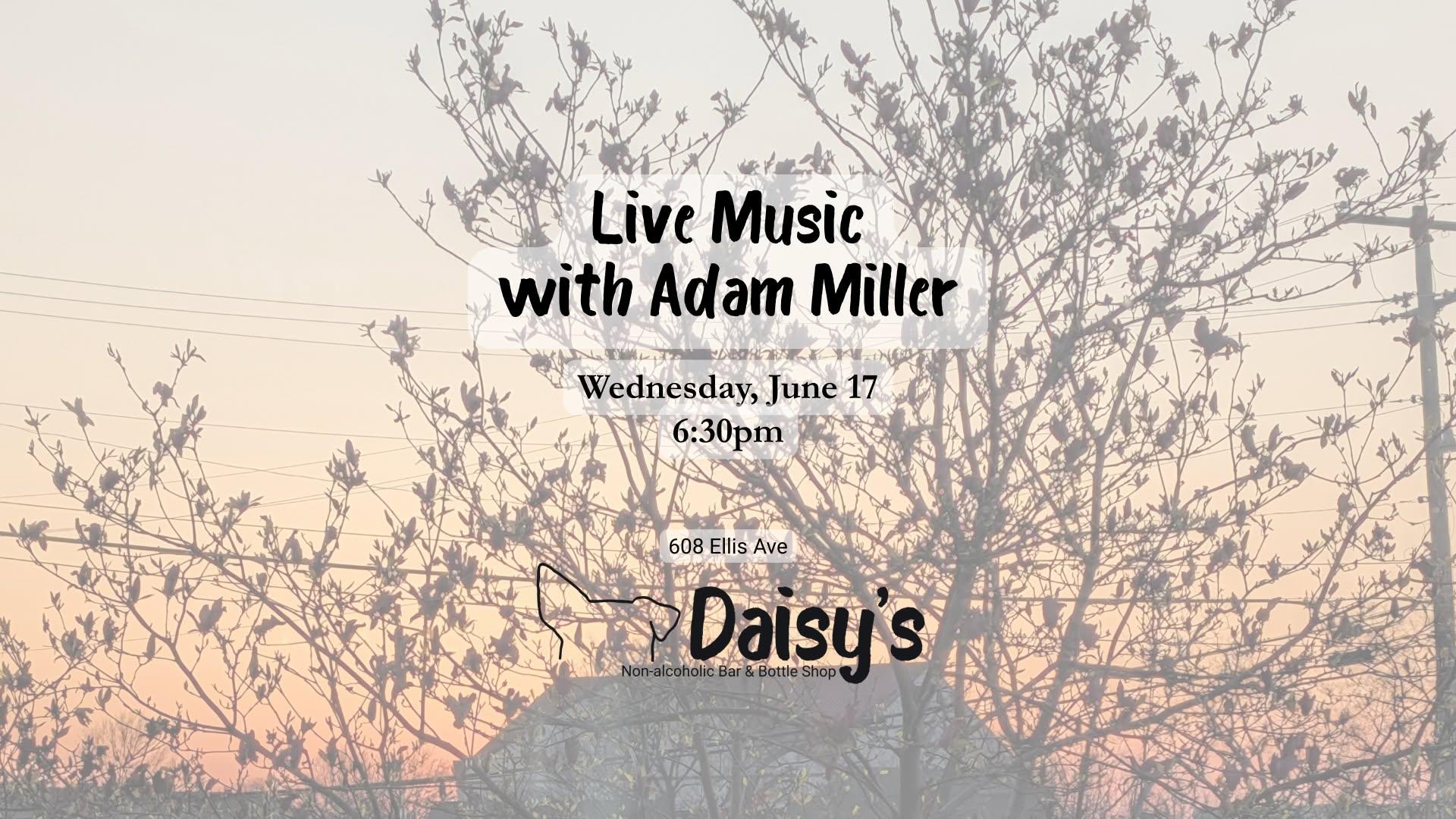 Live Music by Adam Miller at Daisy's