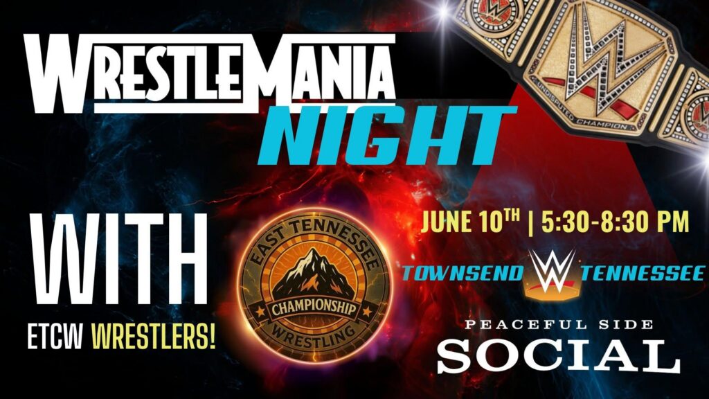 WWE Theme Night